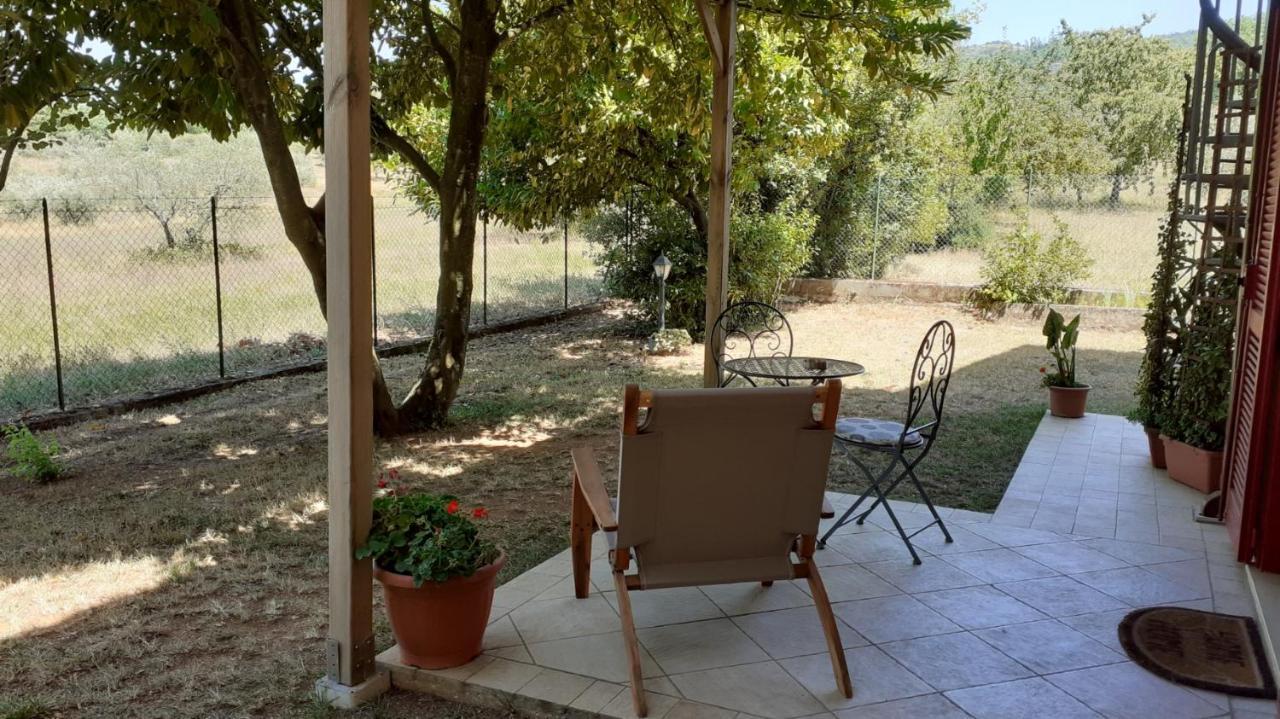 B&B Il Pizzagiallo Massa Martana Exterior foto