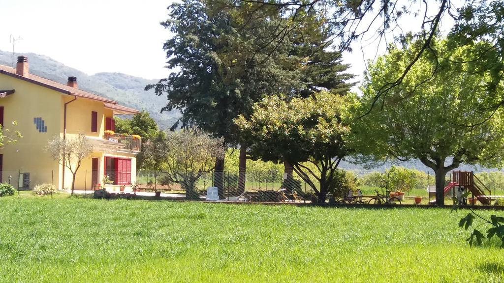 B&B Il Pizzagiallo Massa Martana Exterior foto